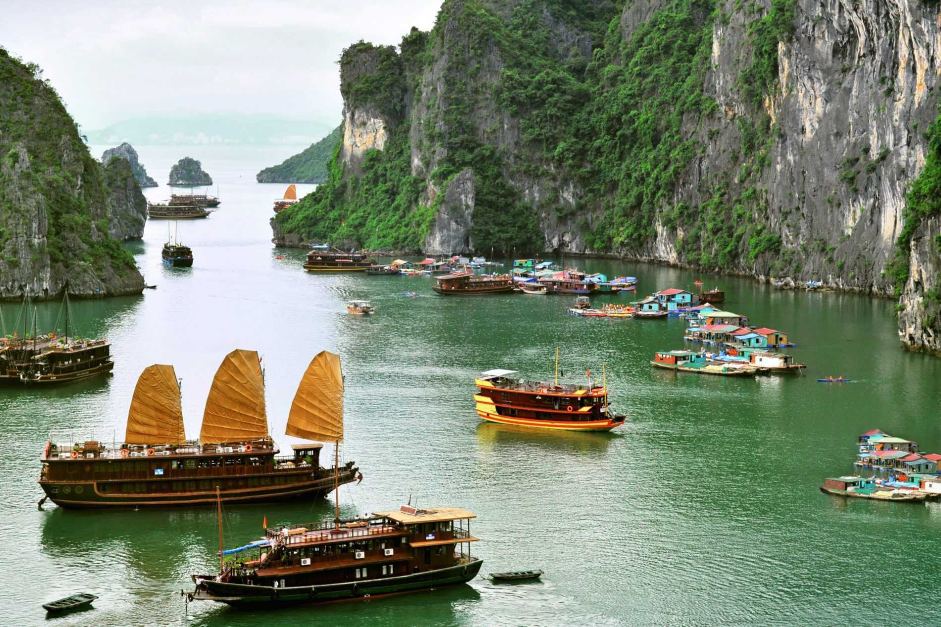 Vietnamese Market Scene